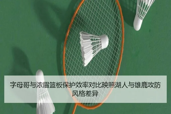 字母哥与浓眉篮板保护效率对比映照湖人与雄鹿攻防风格差异